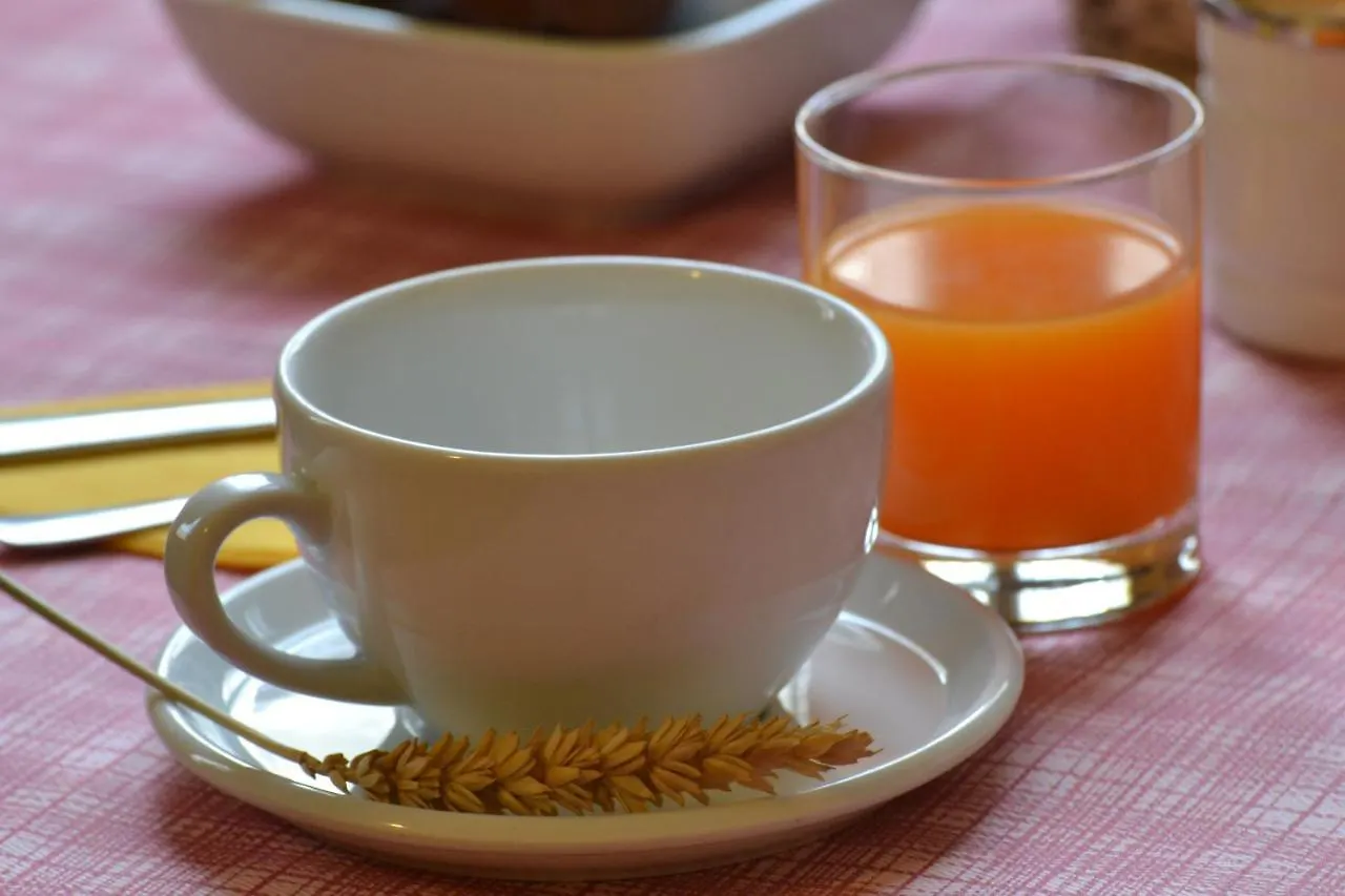 Ai Giardini Del Te Bed and Breakfast Μάντοβα