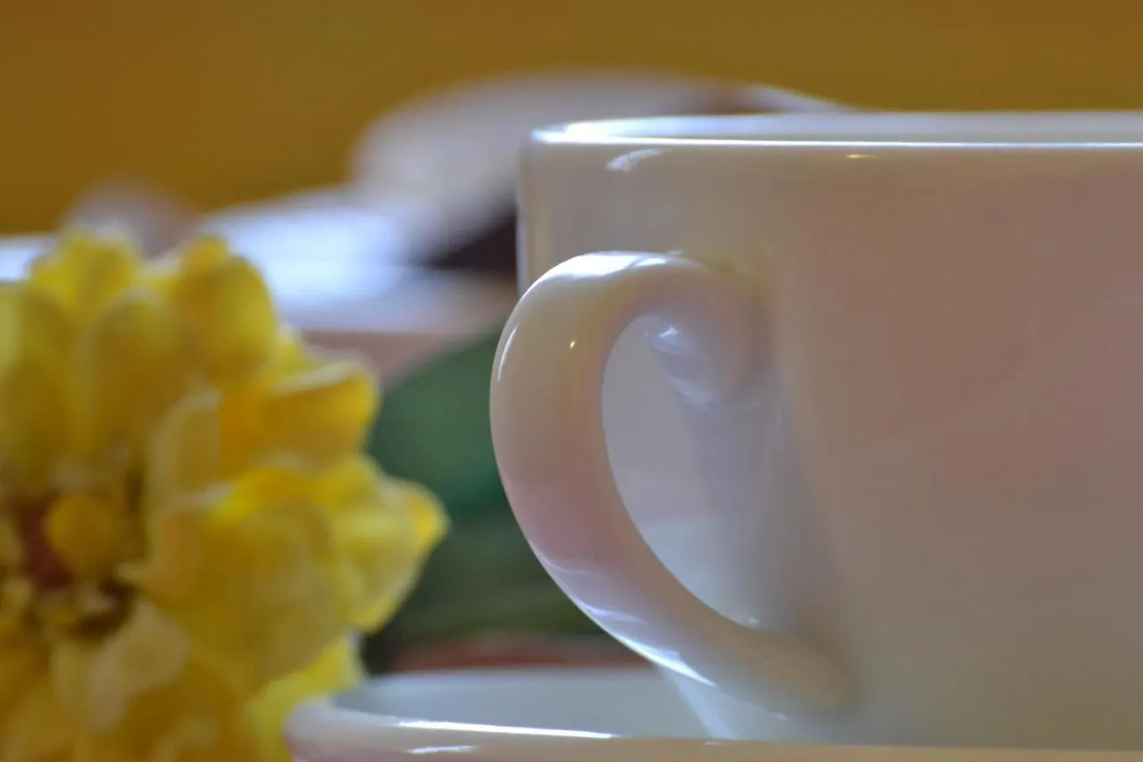 Ai Giardini Del Te Bed and Breakfast Μάντοβα